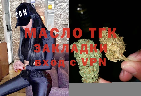 молекула духа Каменка