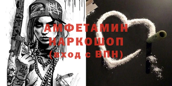 молекула духа Каменка