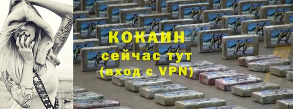 молекула духа Каменка