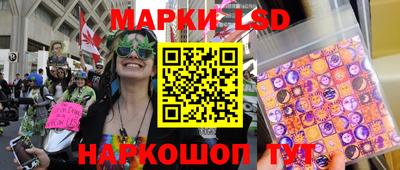 амф Можга