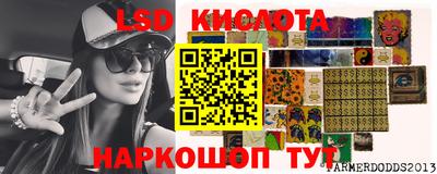 амф Можга