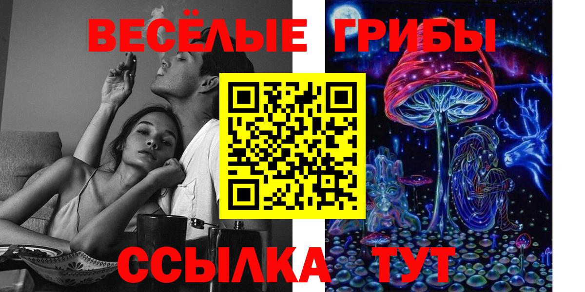 Галлюциногенные грибы Psilocybe Карпинск