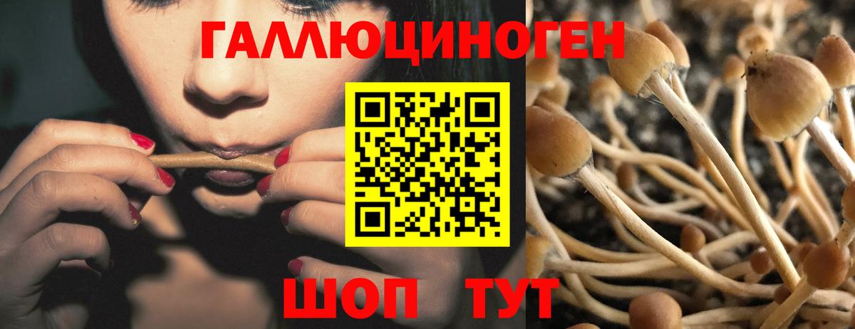 Галлюциногенные грибы мицелий  Галлюциногенные грибы Psilocybine cubensis  Карпинск  Вход с VPN 